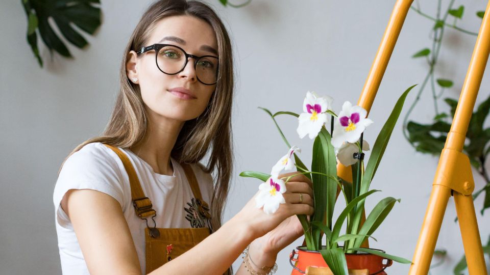 ������� �������� �������, ���� � ������ ������ ��������� ���� �������: ����� ����