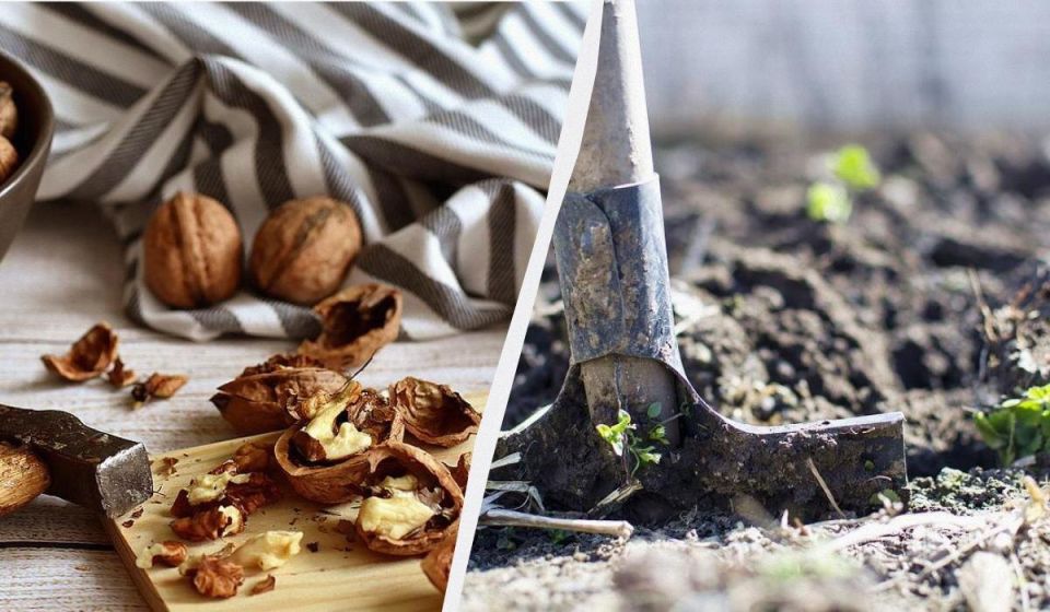 Как ореховая скорлупа может сделать ваш огород более продуктивным