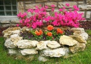 Как создать идеальный розарий на даче: советы по выбору места и сортов