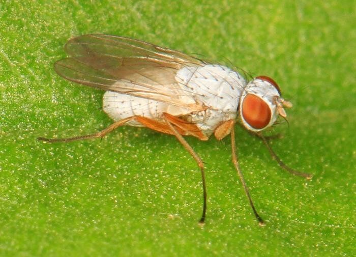 ��� ���������� �� ���������� �� ������� � ������� �������� ��������