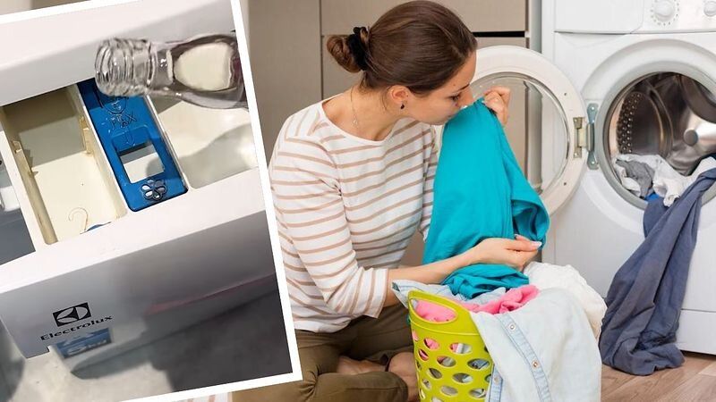 ������ ����������� ��� ����� ����� ���� ������ ��� �������� � ��� ������������ ������ ����