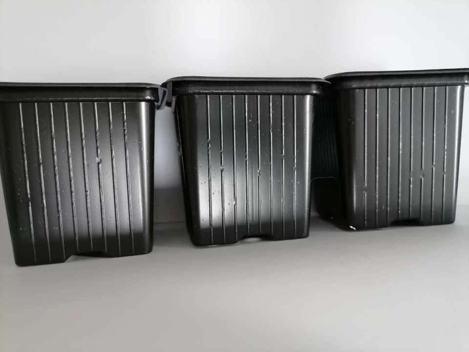 ����� ������ ������ ������: ��� ����� ��� �������?