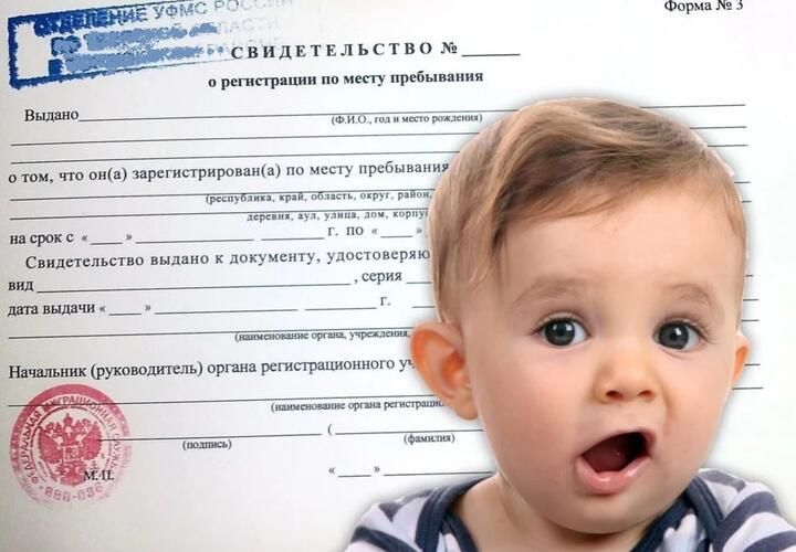 ����������� ������� � ���������� ��������: ��� �������� ������������ �� ������