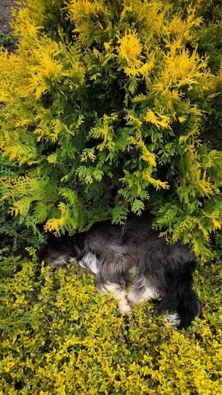 ��� �������� �������� � ������� � ������� ��� �������� � ����������