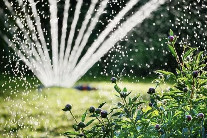 �������� ������������� �����: ��� ��������� ������� ��������� � ����