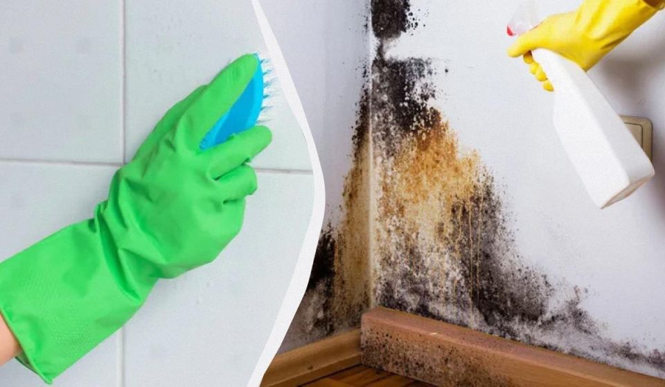 ����������� ������� ������ � ������ �������� � ����� ����