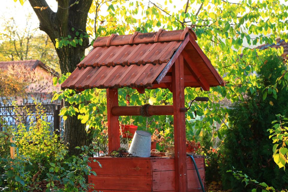 ��� ��������� ��������� �������: ������ ���������