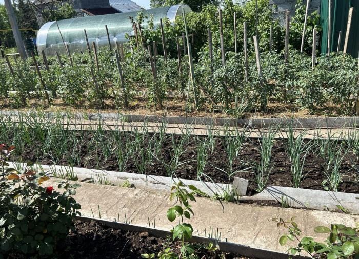 ��� ���������� ������� � ���� � ���� ��� �������� ������?