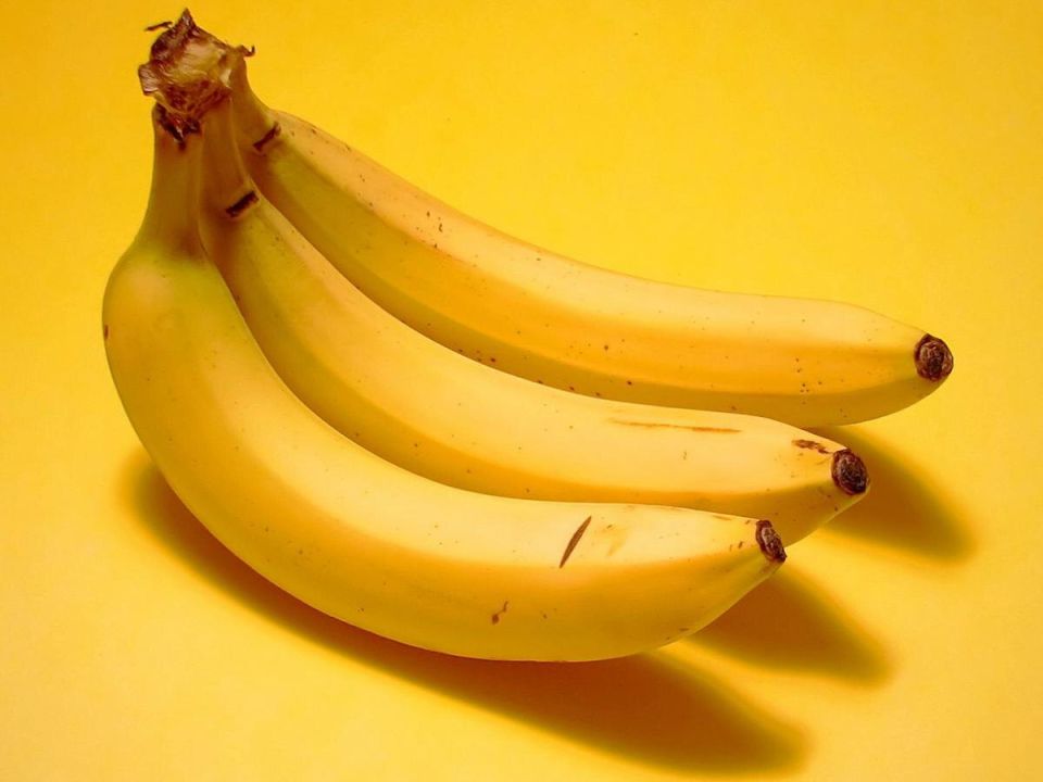 �������� �������: ��� ������ ���������� �������� ��� ���