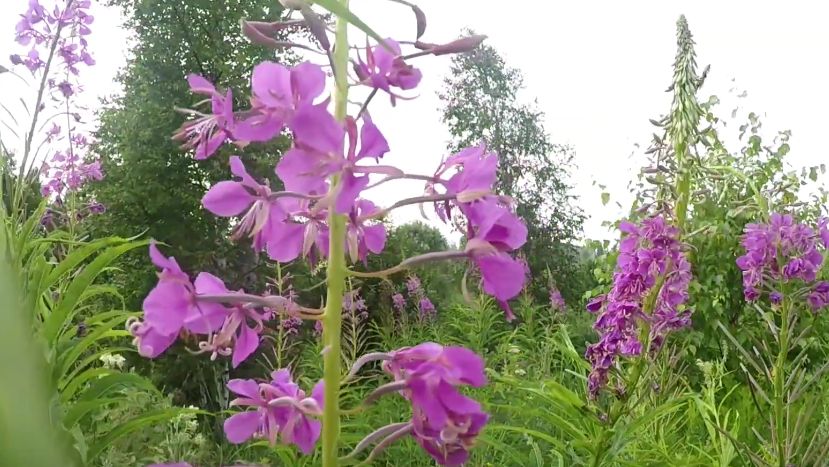 ����-��� �� ������ ����: ��� ������ � ������� �������� ��������������