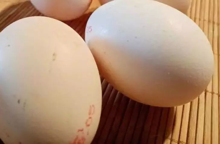 ���-4 �������� ��� ��������� ������ �������: ��� ����, ����� ������ �������