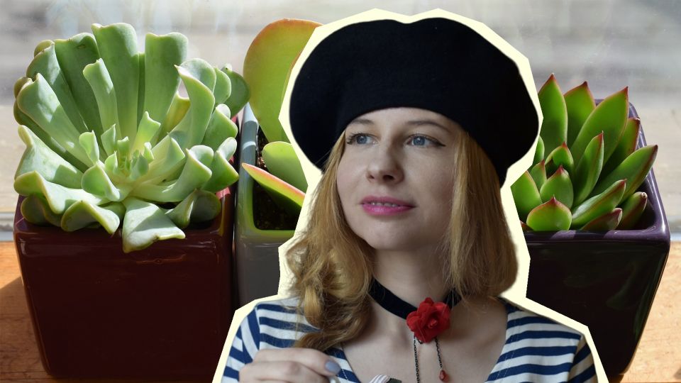 ��������� ����������� ������ ��� ������ �� ��������: �������� ���� ��������