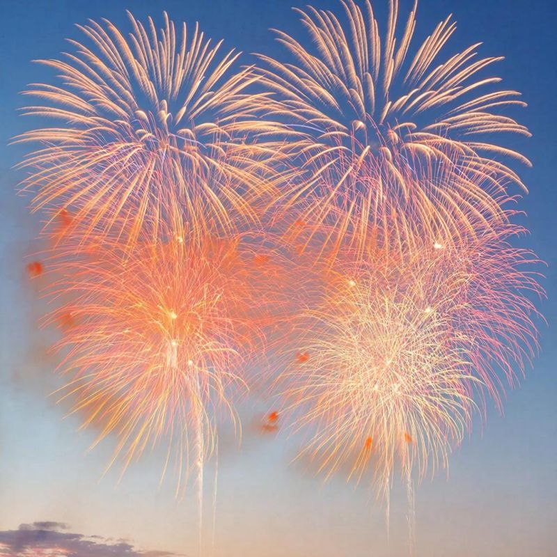 ������������ ���������� �����������: ��� ���� ������� � 2026 ����