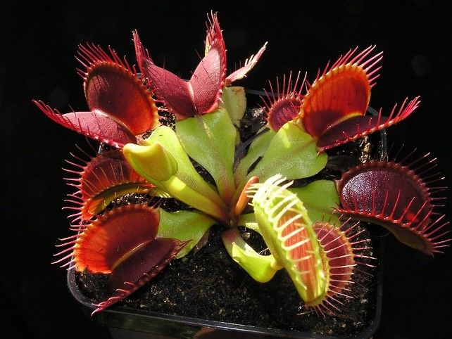 �������������� ������ ������ ������ �������� � ������ �� �������������