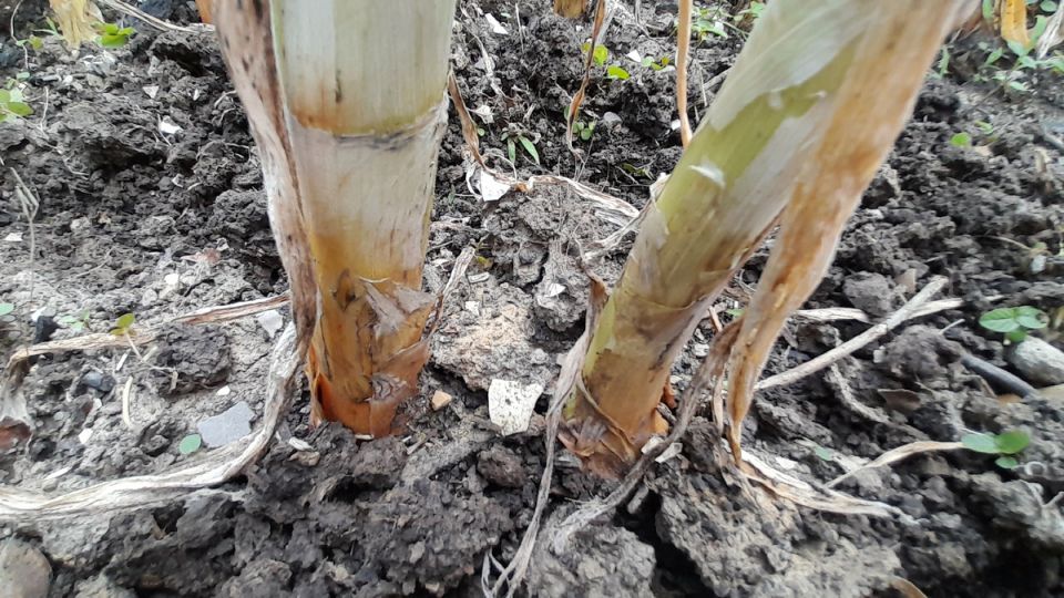 �������� ��������� ����: ������� ��� �������� � ��������� ������