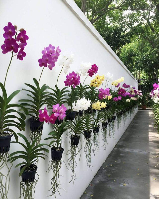 ��� ������ ����� ����� ��������� ��������