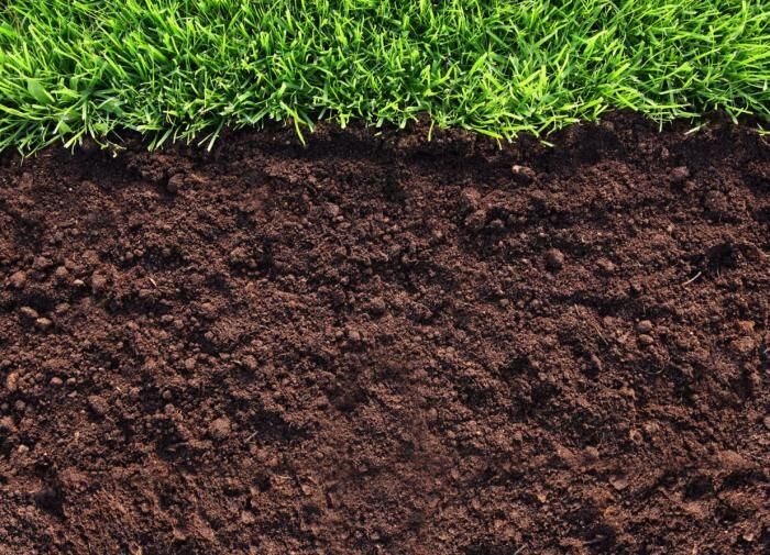 ��� ��������� ����������� ����� � ������ ��� ������������ ������