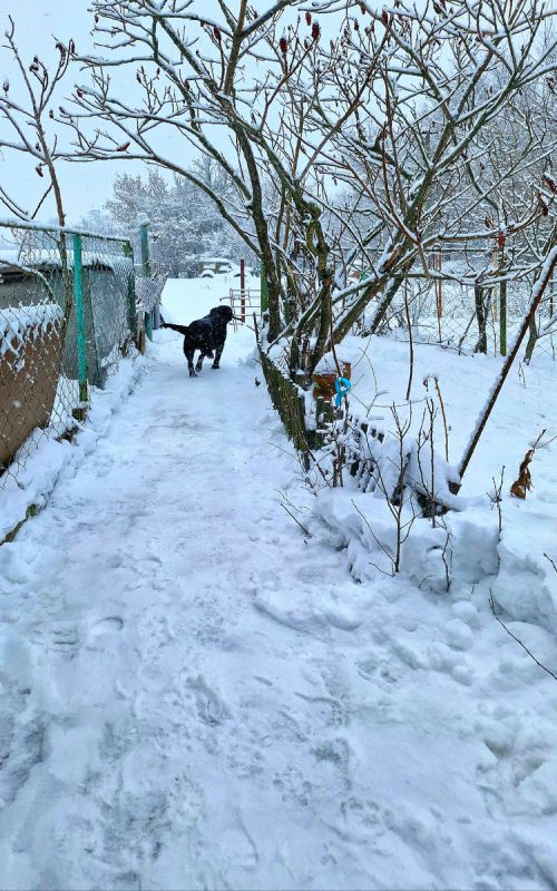 ����������� �����: ��� �������� ���� � �������