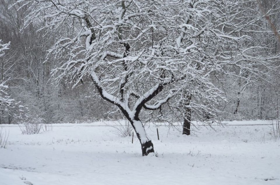 ��� ���������� ���� ������ ������ ����� �������� ��� ������ � �������� ��������