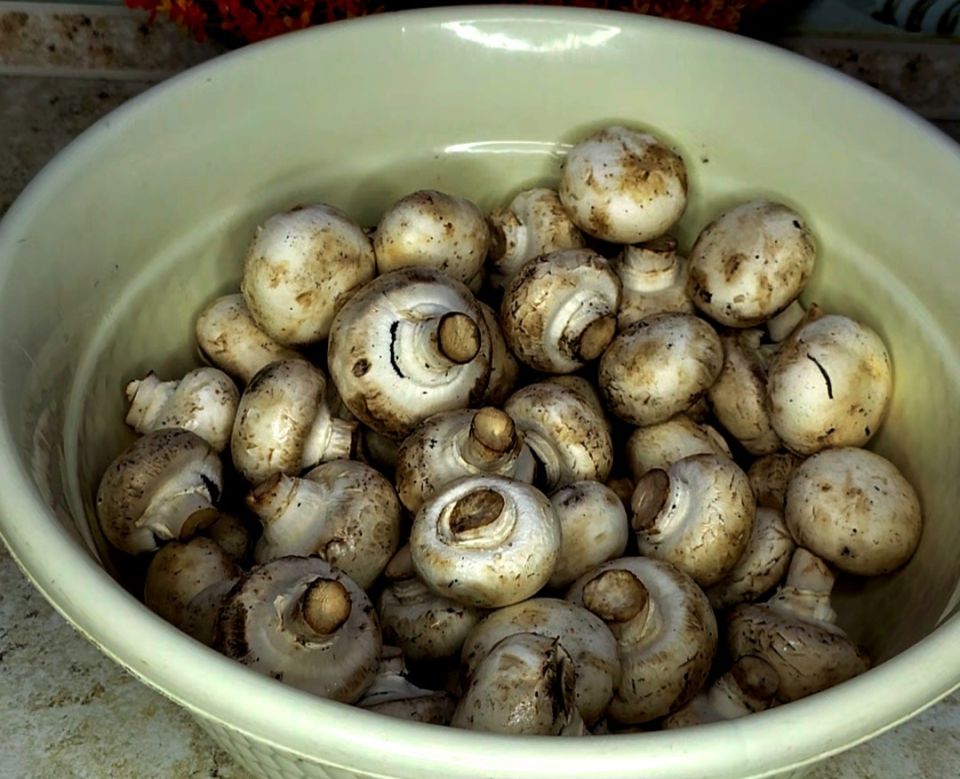 Эффективные методы чистки шампиньонов: просто и быстро