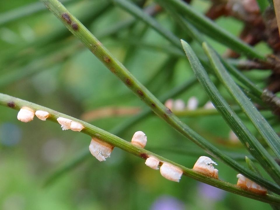 ������� ������ �� ����: ��� ���������� � ��������� �� ������