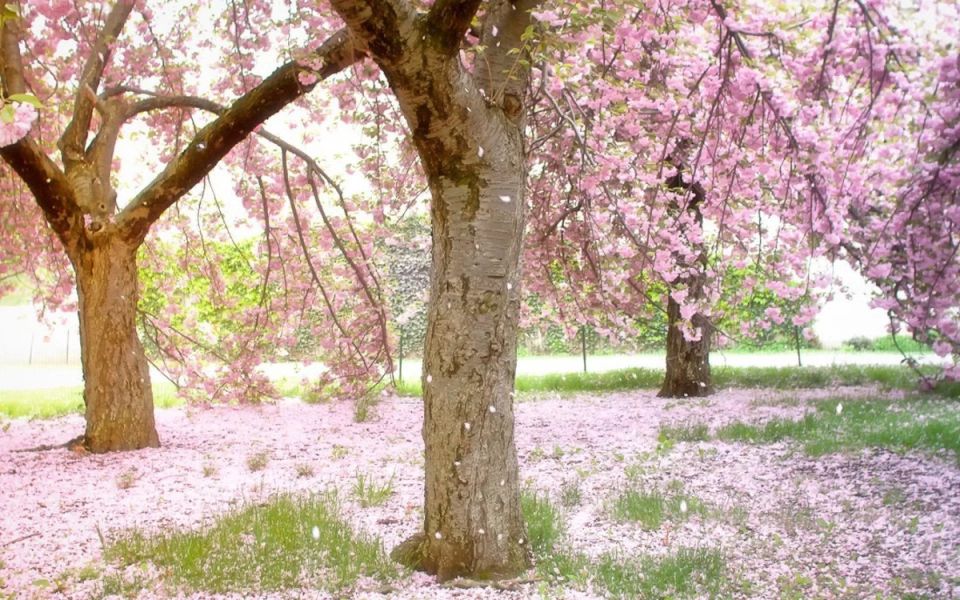 ������: ���������� ��������, ������� ���������� ������