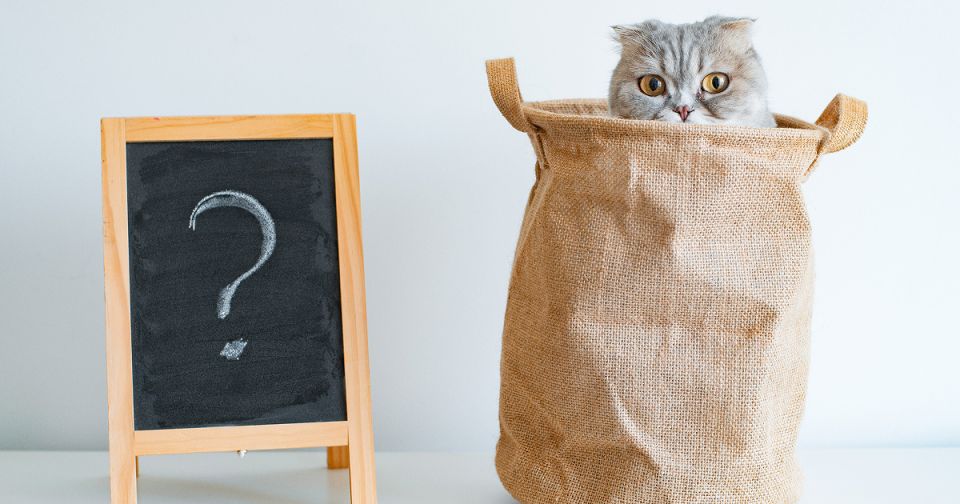 ������� ����� ��� �� � ���: ����� ������� �� ���������� ��1�