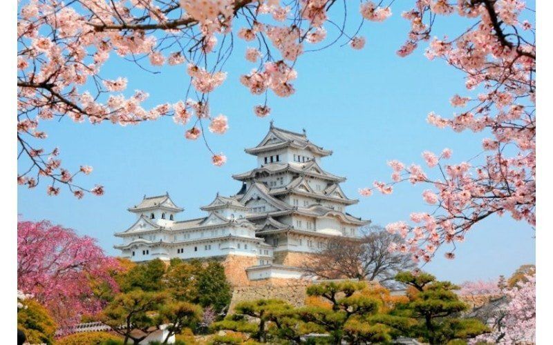 ��� 3D �������� � ������� ���������� ��� ��������