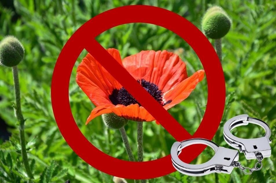 ����������� �������� 2026 ����: ��� ����� ����� ��������, ����� �������� �������