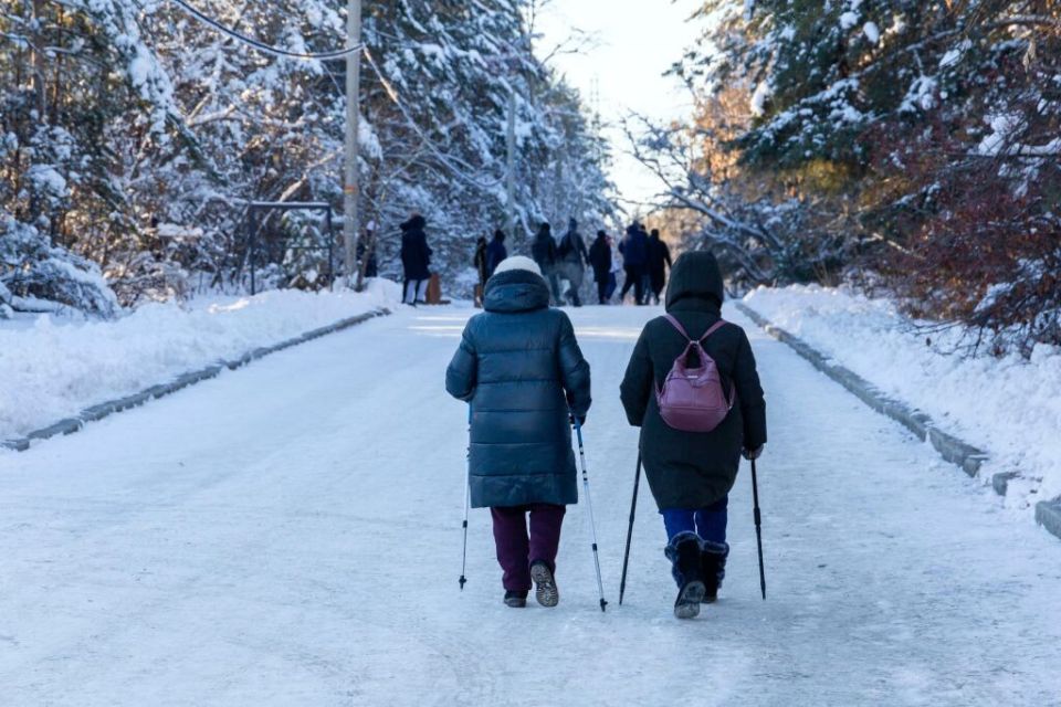 ����� 120 ����� ������������ �������� �������� � ������ �� ����