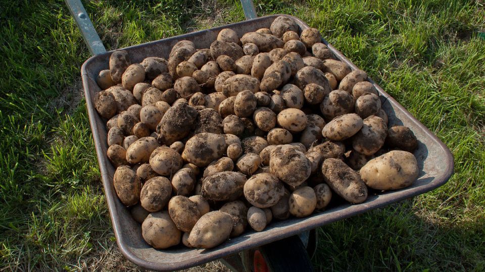 ��������� ��������� ��� ���������� ���