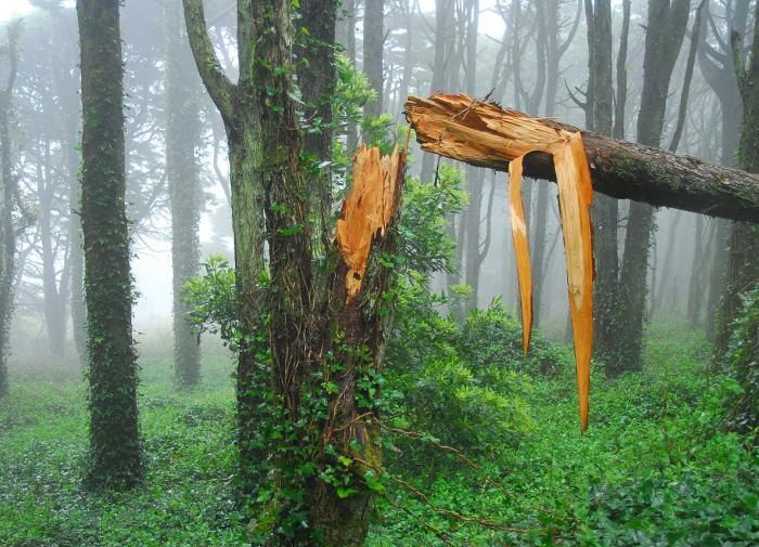 ��� ������ ��������� ������: ��������� ����������� ��� ���������