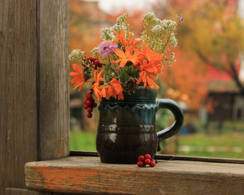 Как украсить дом осенними оттенками: советы для уютного интерьера